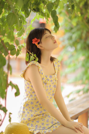 单身男女免费高清电视剧推荐