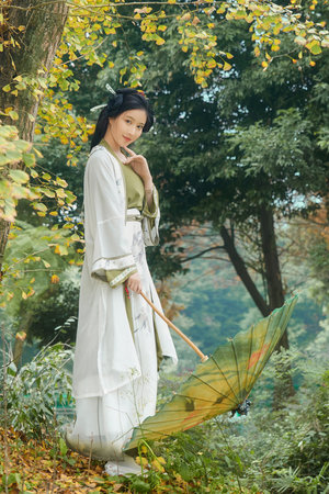 电车之狼游戏下载